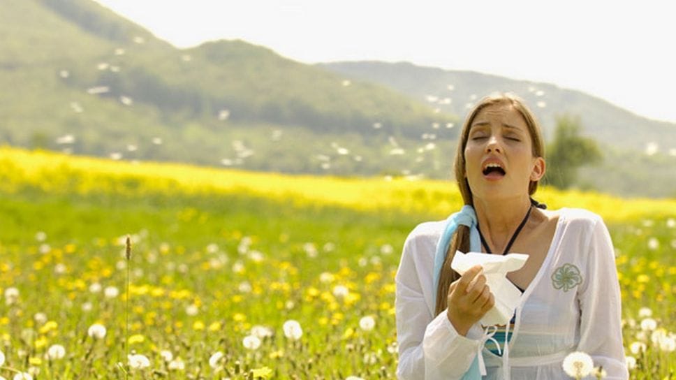 Allergia alimentare? Il problema è il polline, non il cibo