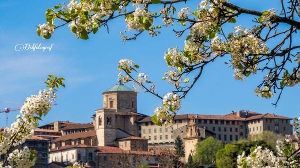 Città Alta avvolta dai fiori