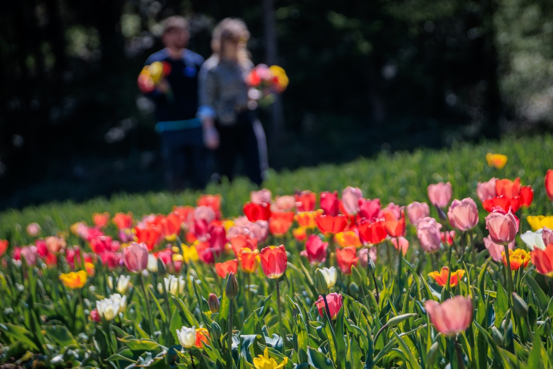 Gite di Pasqua vicino Bergamo: oltre dieci idee tra eventi, sapori e attività per famiglie