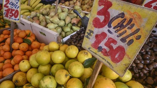 Immagine per ansa-9dd983ac-143e-4f98-80fe-e1e2f9b28fdf