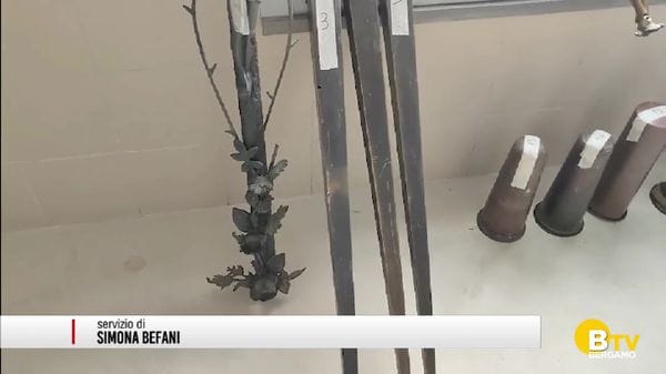 Romano di Lombardia. Individuato il responsabile di furti seriali nei cimiteri della Bassa Bergamasca