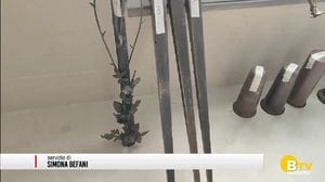 Romano di Lombardia. Individuato il responsabile di furti seriali nei cimiteri della Bassa Bergamasca