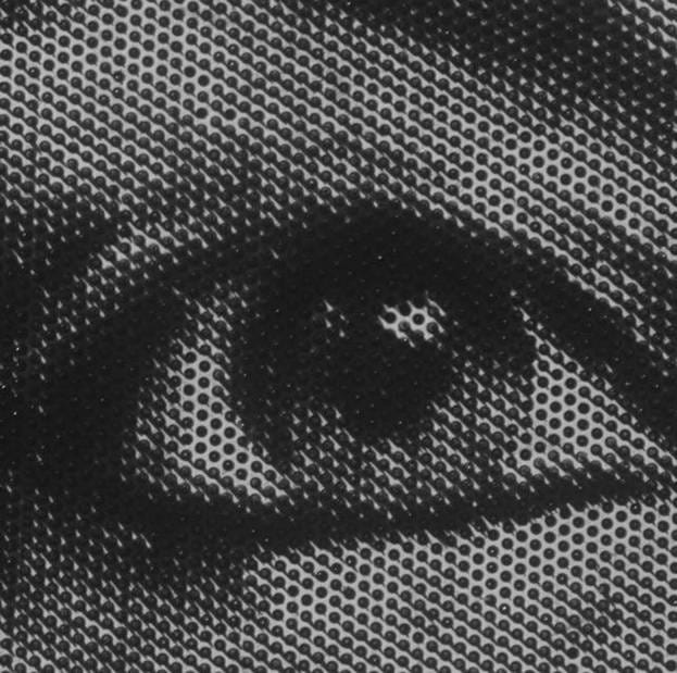 Gli schermi di spilli di Noyer