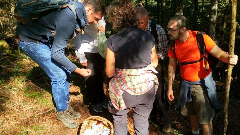 La stagione dei fungaioli si apre tra luglio e agosto