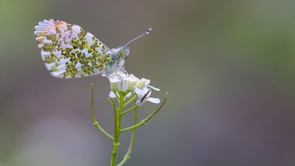 La natura in tutto il suo splendore