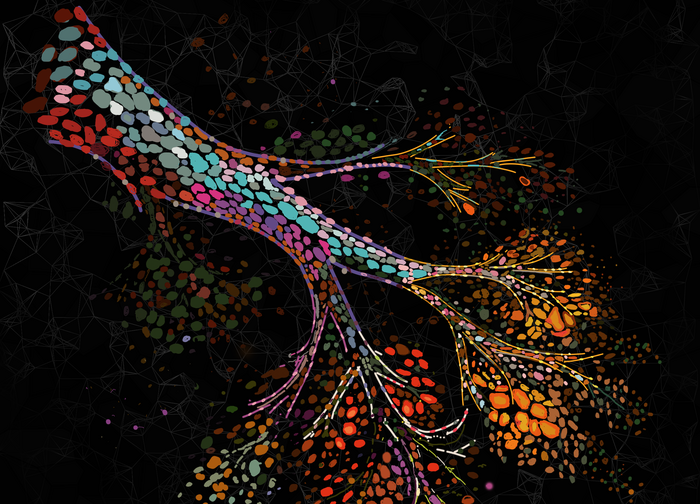 Pronta la mappa dei cambiamenti nel tessuto del seno in menopausa 