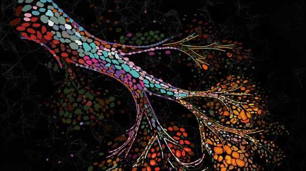 Pronta la mappa dei cambiamenti nel tessuto del seno in menopausa 