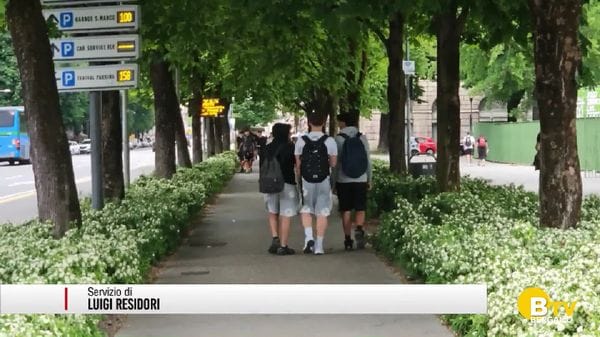 Superiori: crescono le scienze umane, la sanità e la finanza