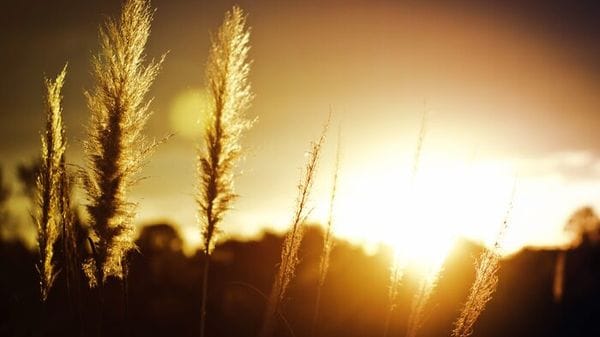 Estati sempre più precoci, lunghe e calde 