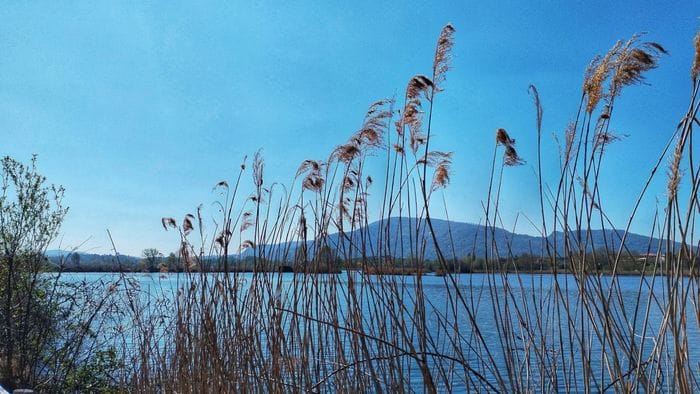 La natura si risveglia