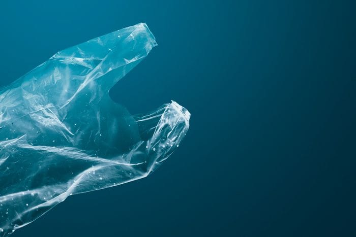 Rischi per la salute anche dalle particelle delle bioplastiche