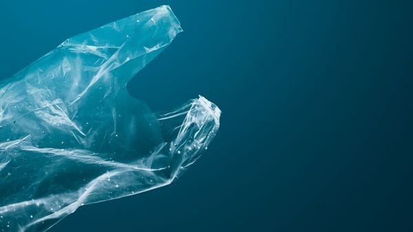 Rischi per la salute anche dalle particelle delle bioplastiche