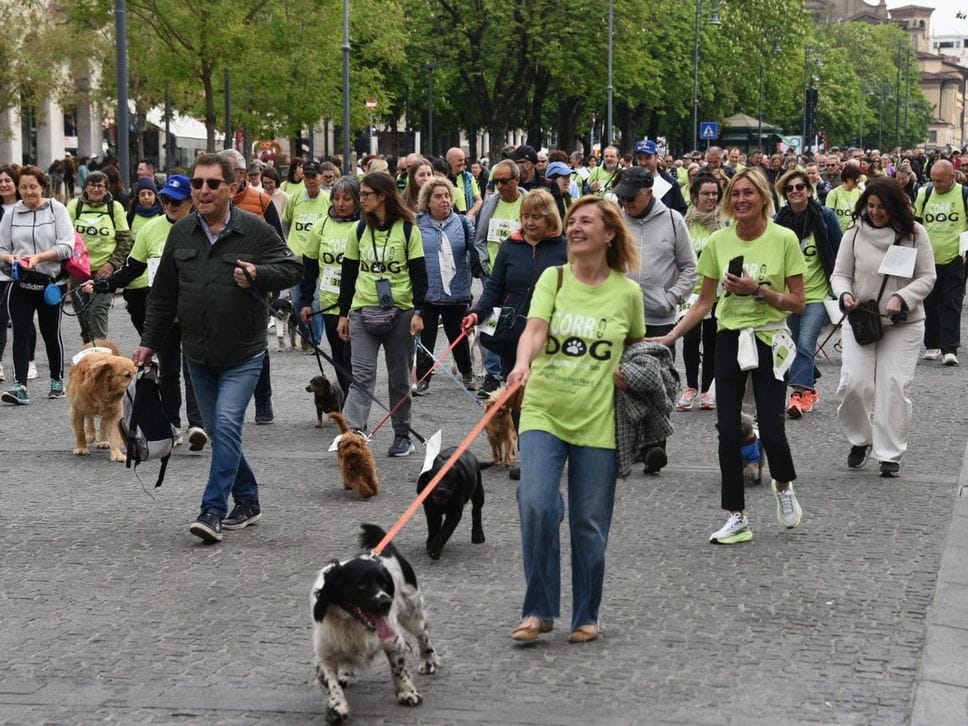 A Bergamo l’entusiasmo della Corridog, per sostenere l’Unione italiana ciechi e ipovedenti - Foto