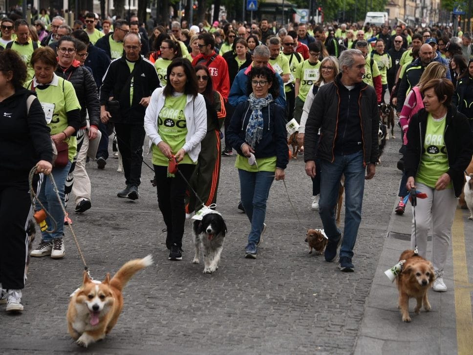 A Bergamo l’entusiasmo della Corridog, per sostenere l’Unione italiana ciechi e ipovedenti - Foto