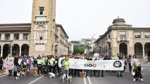 A Bergamo l’entusiasmo della Corridog, per sostenere l’Unione italiana ciechi e ipovedenti - Foto