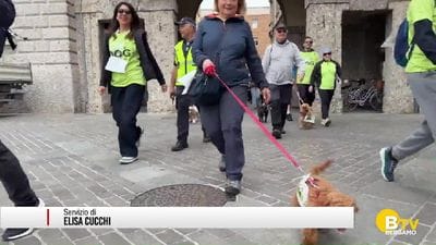 https://storage.ecodibergamo.it/media/photologue/2026/4/12/photos/cache/bergamo-la-corridog-per-sostenere-lunione-italiana-ciechi-e-ipovedenti_a77778c4-368e-11f1-ac57-7b5756baefea_display.jpg