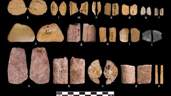 I dadi da gioco più antichi hanno 12 mila anni