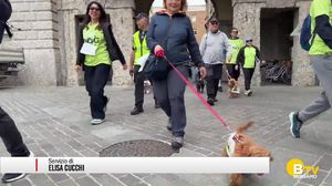 Bergamo, la Corridog per sostenere l’Unione italiana ciechi e ipovedenti