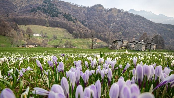A Ceresola di Valtorta