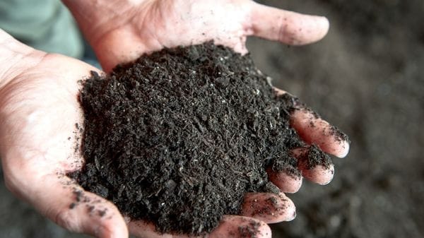 Bergamo, pioniera nella raccolta dell’organico e in prima fila trent’anni dopo