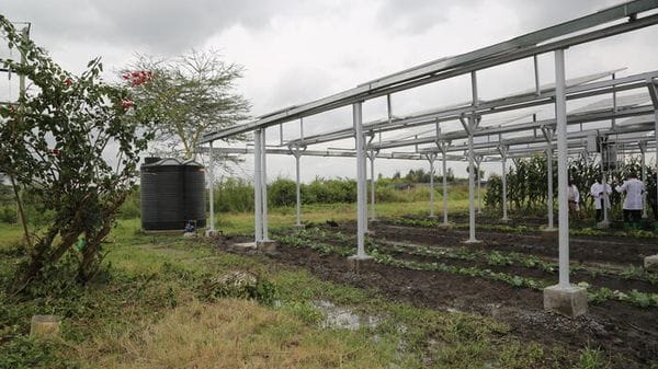 Da Mediocredito Centrale oltre 2milioni a Cogefeed per l'agrivoltaico