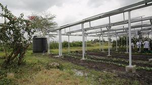 Da Mediocredito Centrale oltre 2milioni a Cogefeed per l'agrivoltaico