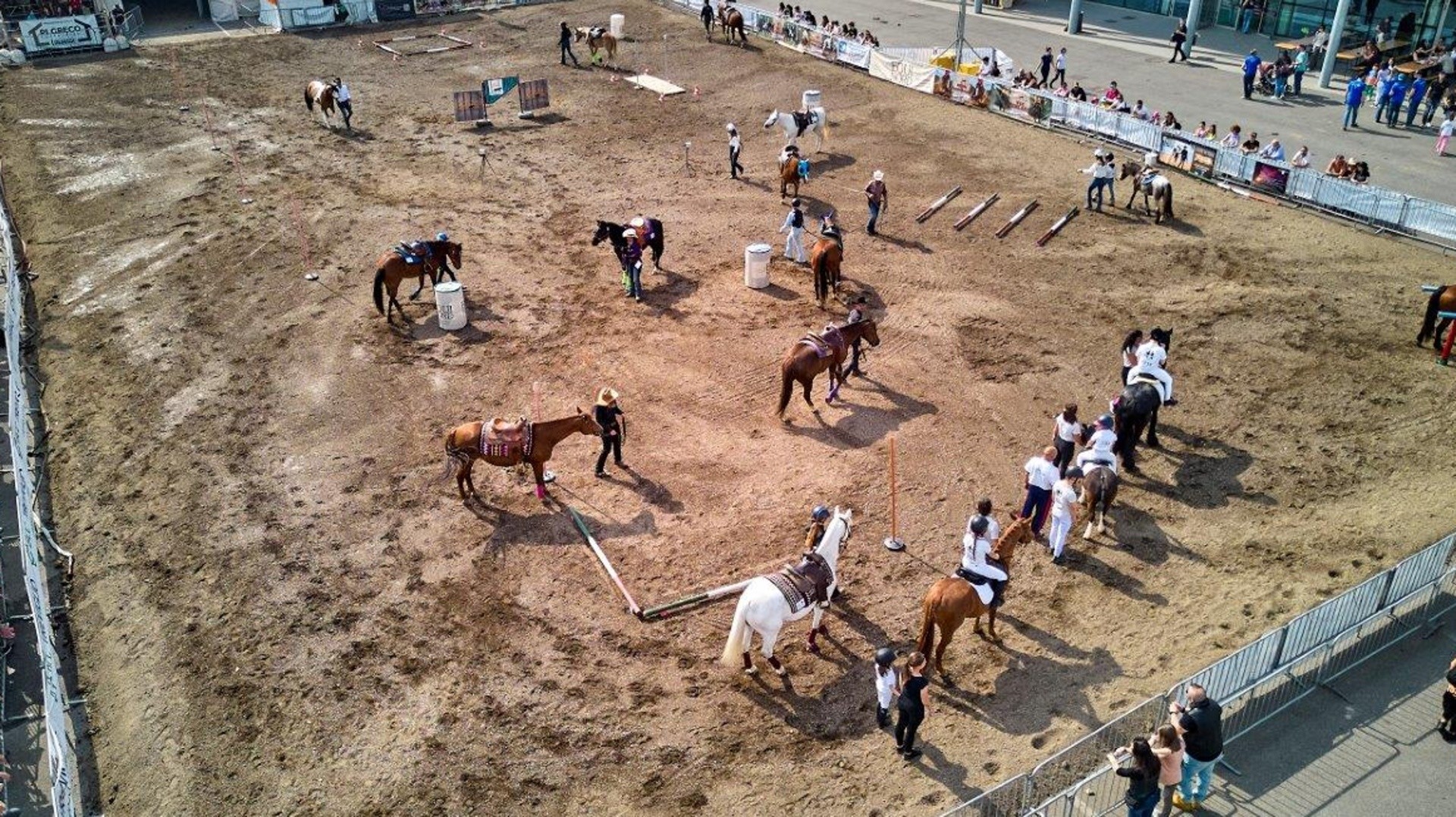 Fiera Agricola Treviglio, un mese di eventi tra musica, food, agricoltura e spettacoli equestri