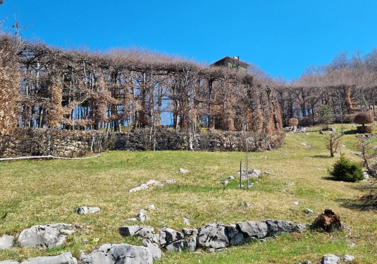 Trekking in Val de Grü, un percorso ad anello che parte da Aviatico