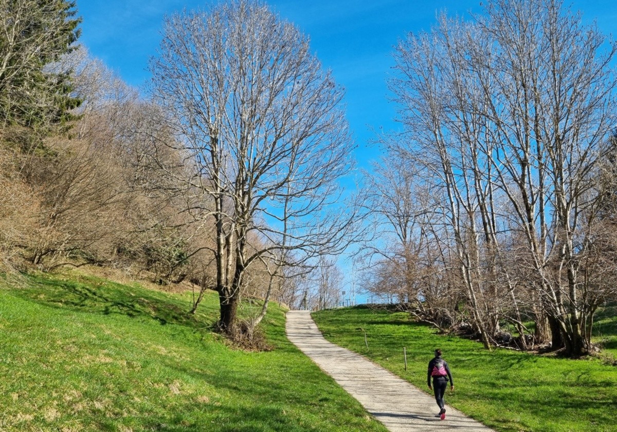 Trekking in Val de Grü, un percorso ad anello che parte da Aviatico