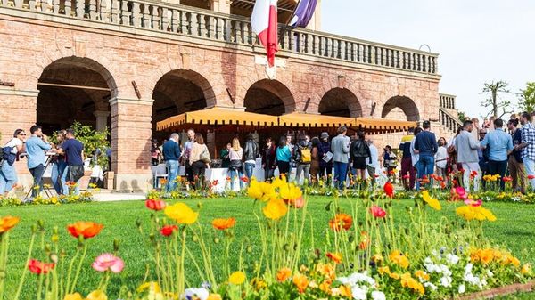 'Vini Euganei', il Fai promuove la produzione del territorio