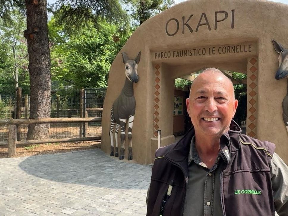 Le Cornelle si tingono di magia: inaugurata la Foresta degli okapi - Foto
