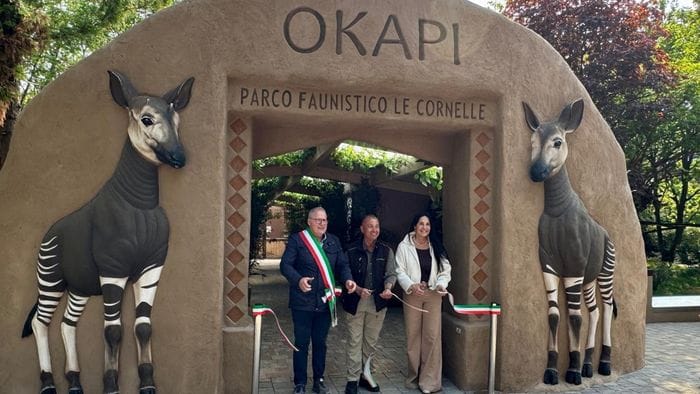 https://storage.ecodibergamo.it/media/photologue/2026/4/18/photos/cache/le-cornelle-si-tingono-di-magia-inaugurata-la-foresta-degli-okapi-foto_b34015d4-3b30-11f1-b314-9c6aab035350_1920_1080_v3_large_16_9.jpeg