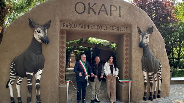 Le Cornelle si tingono di magia: inaugurata la Foresta degli okapi - Foto