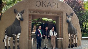 Le Cornelle si tingono di magia: inaugurata la Foresta degli okapi - Foto