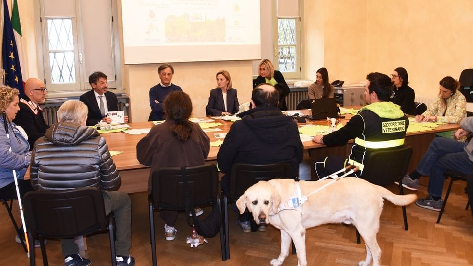 Camminata insieme agli amici a 4 zampe. «Servono più cani-guida»
