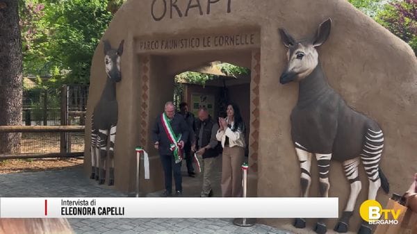 Valbrembo, al Parco faunistico delle Cornelle è stata inaugurata la foresta degli Okapi