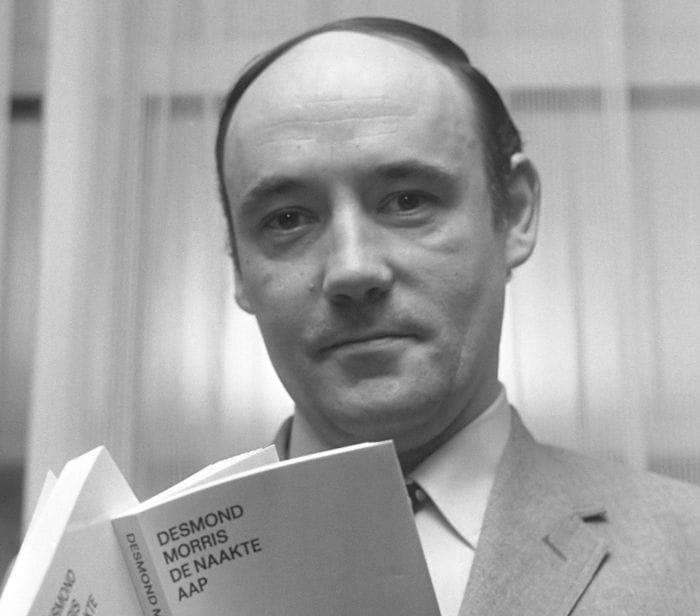 Addio a Desmond Morris, l'etologo della 'scimmia nuda'  