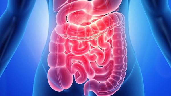 «Diverticoliti da incubo»: esperti a confronto