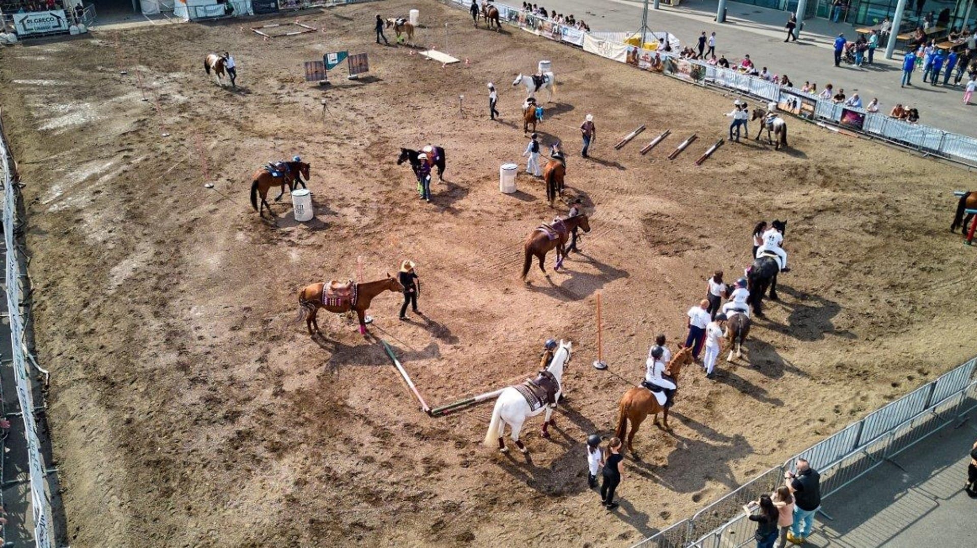 Fiera Agricola Treviglio, un mese di eventi tra musica, food, agricoltura e spettacoli equestri