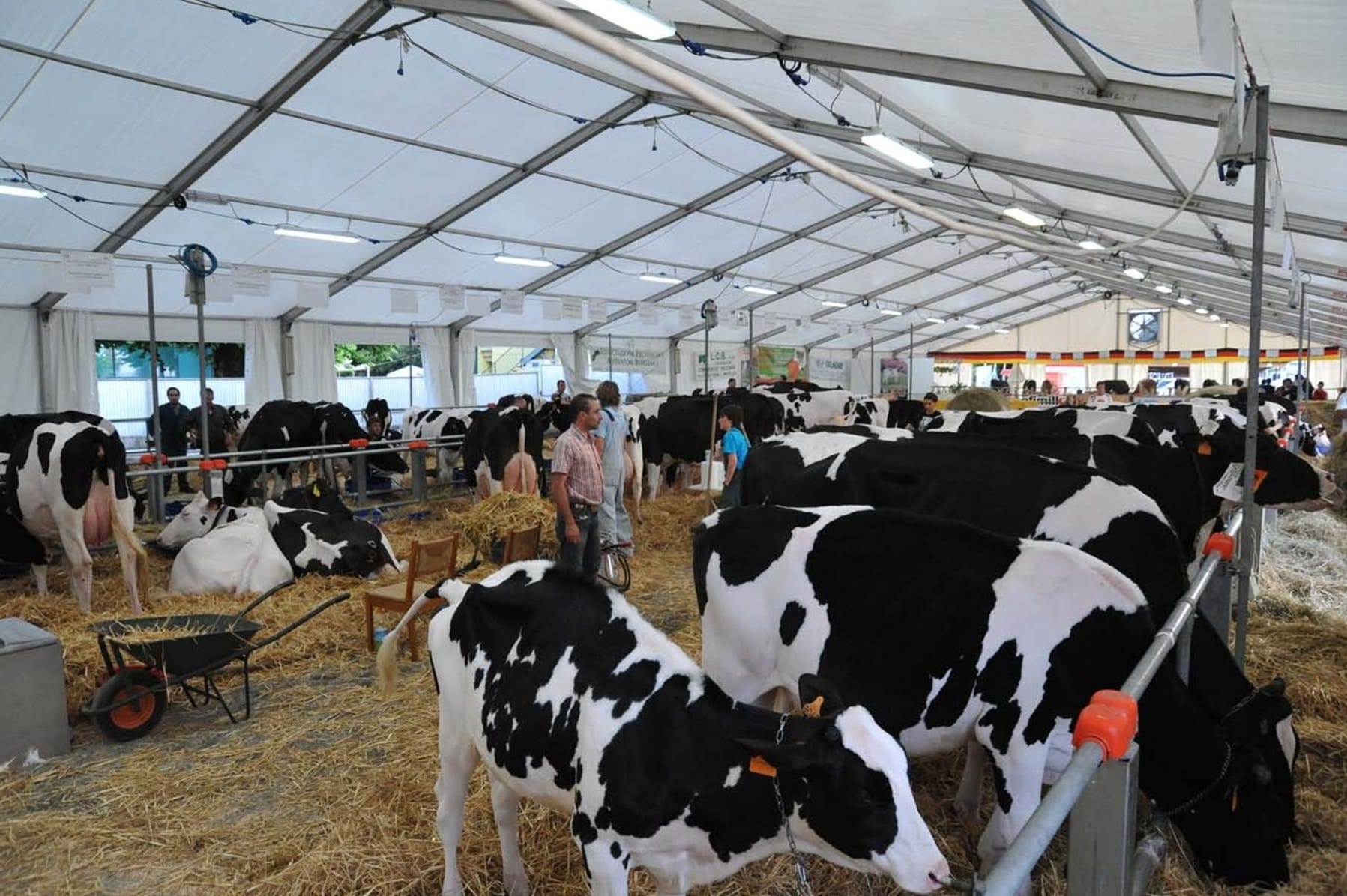 Fiera Agricola Treviglio, un mese di eventi tra musica, food, agricoltura e spettacoli equestri
