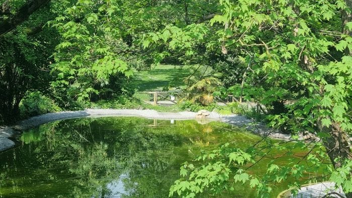 riapre il parco marenzi nuovo laghetto e oasi per la biodiversit224 foto