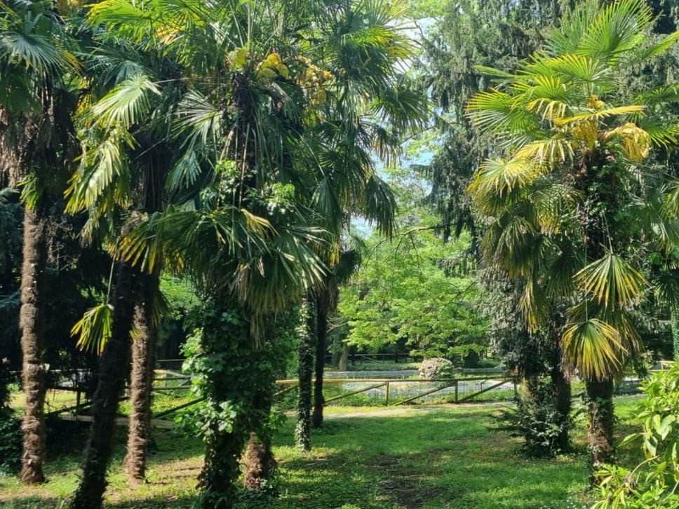 Riapre il parco Marenzi: nuovo laghetto e oasi per la biodiversità - Foto