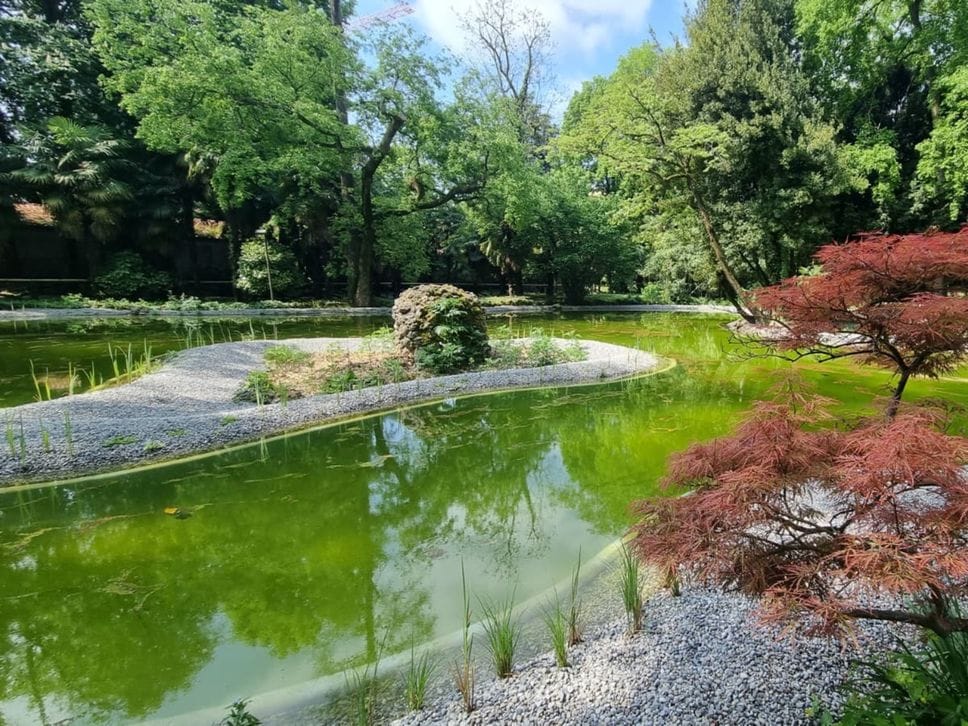 Riapre il parco Marenzi: nuovo laghetto e oasi per la biodiversità - Foto