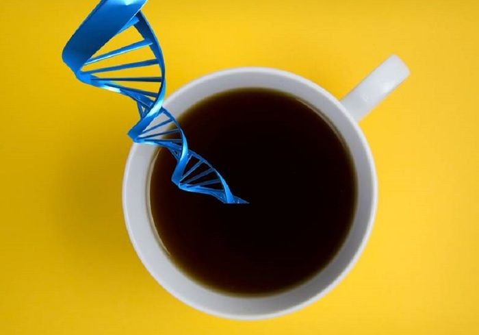 Meno stress e umore positivo, così il caffè modifica il microbiota 