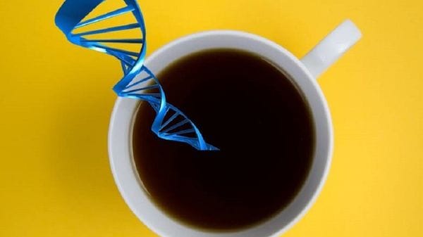 Meno stress e umore positivo, così il caffè modifica il microbiota 
