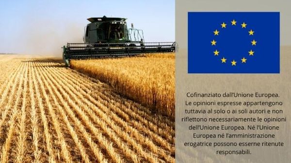 Immagine per ansa-3b1f1e3a-470d-4557-9b92-b0064997e1ef