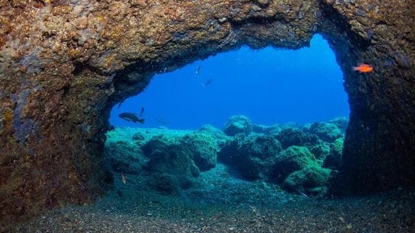 Pichetto, Alleanza G7 su Aree marine protette modello di successo