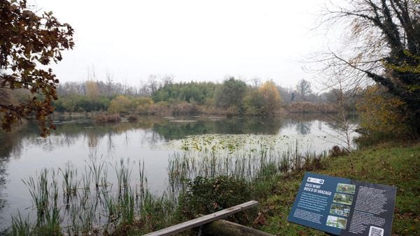 Comincia domani la Primavera delle Oasi del Wwf