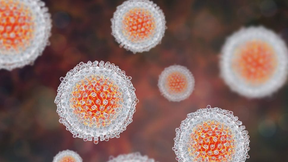 Epatite A, a Bergamo 5 casi nel 2026. Ats: «Nessun aumento, ma resta alta l’attenzione»