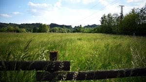 Paladina-Sedrina: lettera all’Anas: «No passi indietro»